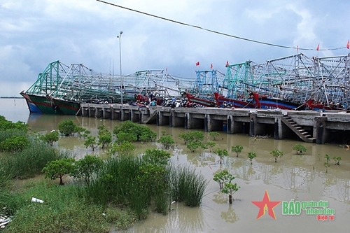 Các tỉnh Thanh Hoá, Nghệ An, Hà Tĩnh, Quảng Trị khẩn trương ứng phó bão Noru